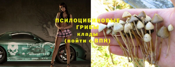 ешки Пролетарск